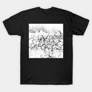 Likely earth T-Shirt